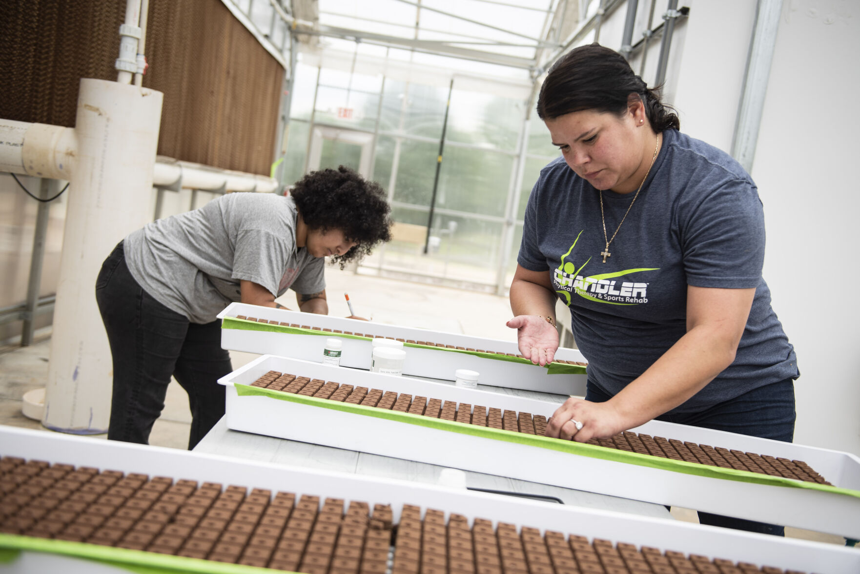 Hydroponic Greenhouse